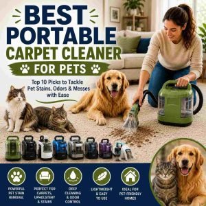 Best Portable Carpet Cleaner for Pets